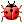 瓢虫